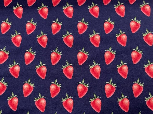 Baumwoll-Jersey Erdbeer Marineblau (Digital)
